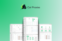  Cat Proxy | Secure VPN & Proxy Service